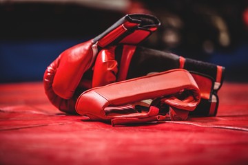 Naklejka premium Pair of red boxing gloves