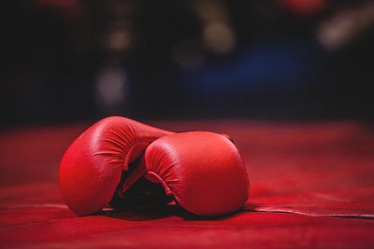 Pair Of Red Boxing Gloves