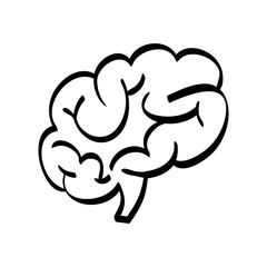 Human brain scribble icon vector illustration graphic design