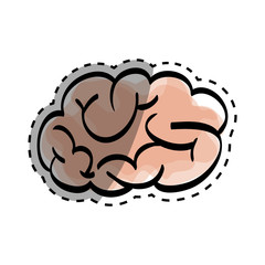 Human brain scribble icon vector illustration graphic design