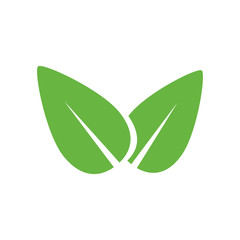 Isolated natural leaves icon vector illustration graphic design