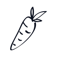 Fresh carrot vegetable icon vector illustration graphic design