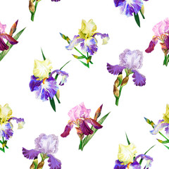 Seamless pattern with colored irises