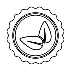 Isolated natural leaves icon vector illustration graphic design