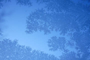 Obraz premium blue ice flower on window in winter