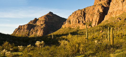 Panorama Organ Pipe Cactus National Monument , AZ, USA