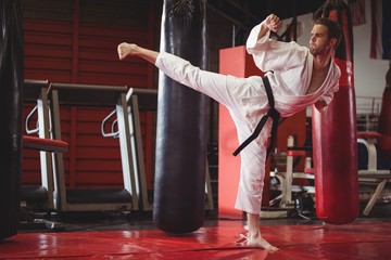 Karate player performing karate stance © WavebreakMediaMicro