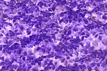 the abstract backgrounds from the nature