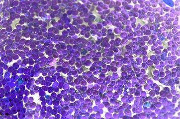 the abstract backgrounds from the nature