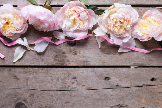 Border from pink peonies flowers on aged wooden background.