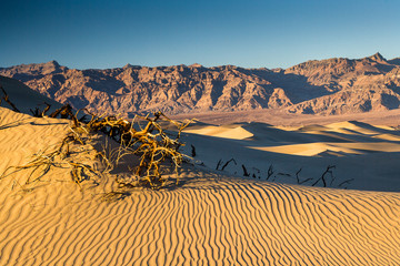 Sand Dunes, Death Valley, California