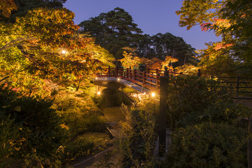 Fototapeta na wymiar japanese garden on the bridge in autumn