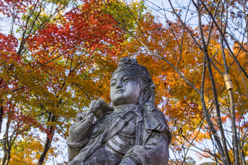 japanese garden in autumn