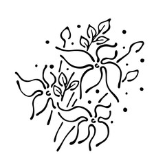Vector floral illustration. bouquet with flowers, leaves, decorative elements isolated on the white background. Hand drawn contour lines and strokes. Doodle style, graphic vector illustration