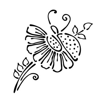 Vector floral illustration with insect Ladybug with flowers, leaves, decorative elements isolated on the white background Hand drawn contour lines and strokes Doodle style, graphic vector illustration