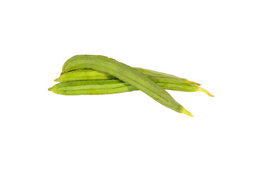 luffa