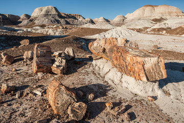 Petrified Forest National Park, Blue Mesa, AZ, USA