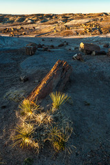 Sunset at Petrified Forest National Park, Blue Mesa, AZ, USA