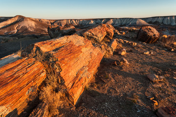 sunset at Petrified Forest National Park, crystal forest, AZ, USA