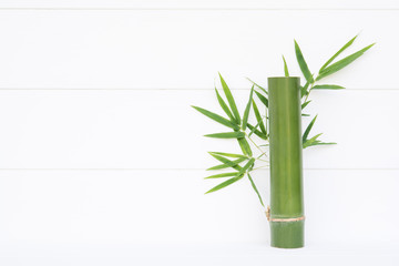 bamboo on wall  white