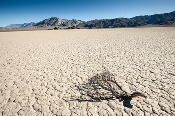 Dead Scrub at the Racetrack in Death Valley, CA, USA