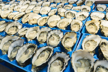 Close-up of oysters in fish market