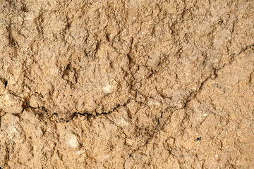 Soil texture