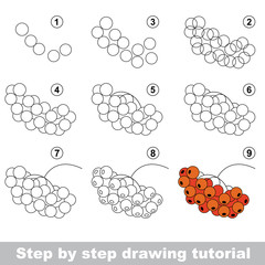 Drawing tutorial. Red rowan.