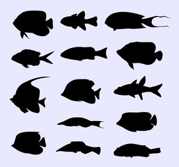 Tropical fish collection silhouette. Good use for symbol, logo, web icon, sign, or any design you want.