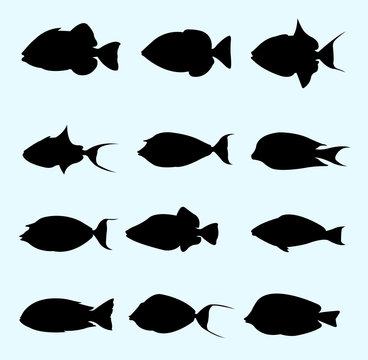 Tropical fish collection silhouette. Good use for symbol, logo, web icon, sign, or any design you want.