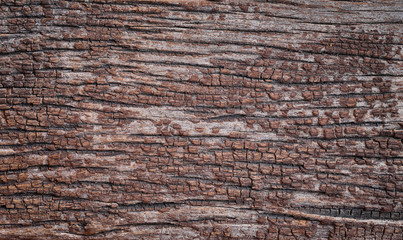 Obraz premium Old wood texture.