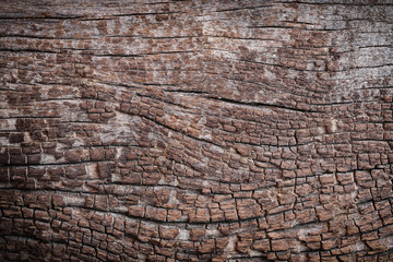 Old wood texture.