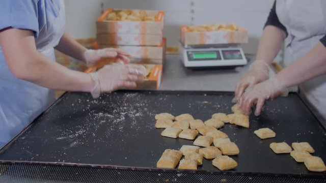 Production line. Workers packing food 4K