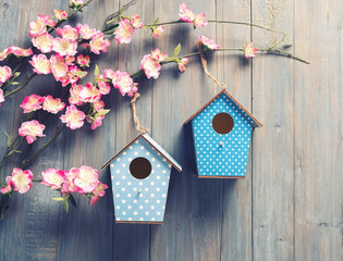 two birdhouses hang on spring tree flowers with antique rustic w