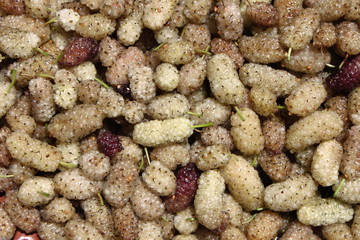 White mulberries