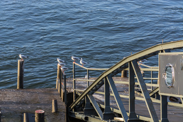 Schiffsanleger am Rhein