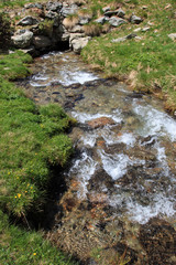 torrente a Palasinaz, Brusson - valle Ayas