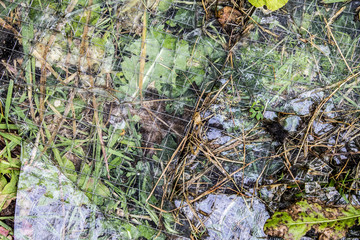 Glass with wires Texture Background