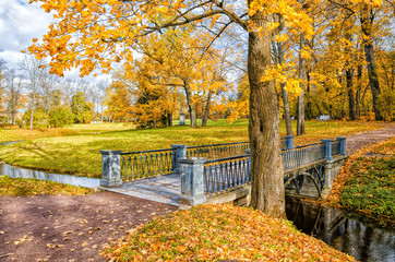 A bridge in the Catherine park in Tsarskoye Selo (Pushkin) in autumn.