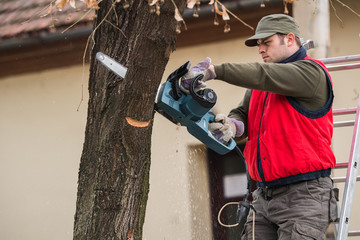 Man cutting a branch with chainsaw in the yard