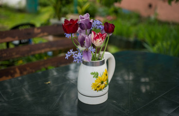 spring flowers 