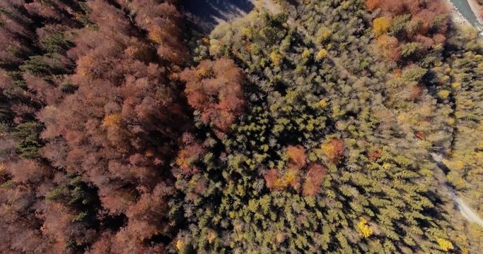 Stunning Drone Views over the alpine forest valley and mountains of Sixt in the High french Rhone alp region of france.
