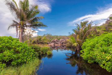 Rocks and palms at tropical lake in jungle, La Digue island in Seychelles