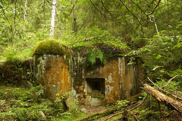 Abandoned bunker hidden deep in the forest. Sumava National park - Bohemian Forest, Czech Republic