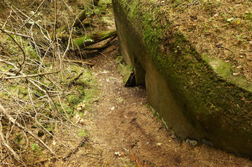 Abandoned bunker hidden deep in the forest. Sumava National park - Bohemian Forest, Czech Republic