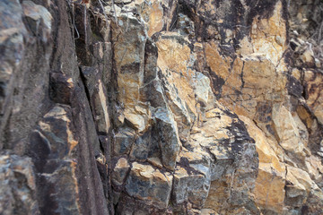 Fototapeta premium Speaking at mountain slope