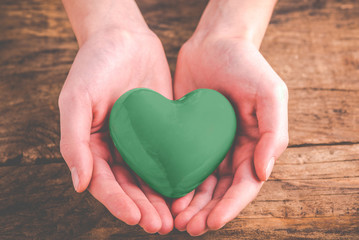 Obraz na płótnie Canvas green heart in hands - green lifestyle concept 