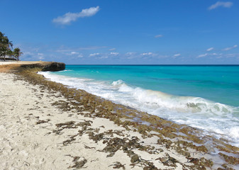turquoise blue ocean of Cuba