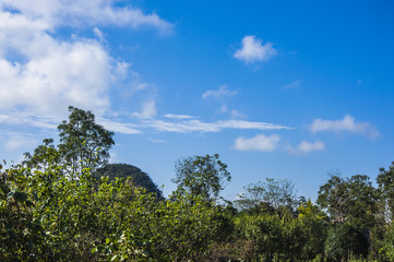 The countryside scenery with blue sky in autumn 
