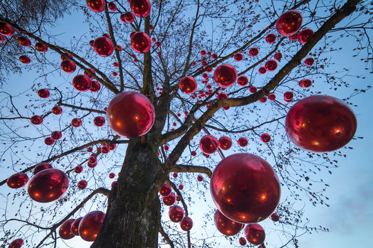 Weihnachtsbaum